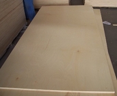 die board plywood/ plywood die board /die board plywood/18mm plywood